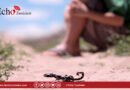 وزارة الصحة تقدم جملة من التوصيات للتوقي من لدغات العقارب والثعابين