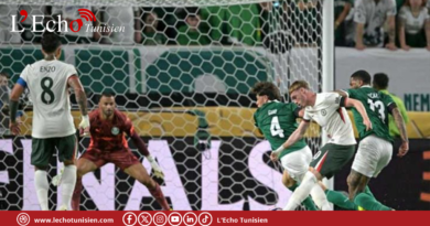 تشيلسي يتأهل لقبل نهائي كأس العالم للأندية بفوز مثير على بالميراس