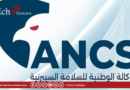 الوكالة الوطنية للسلامة السيبرنية تُحذرمن استعمال محركات البحث التي تعتمد على الذكاء الاصطناعي