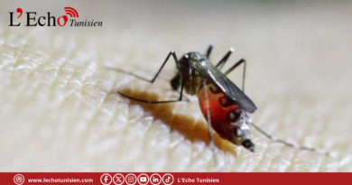 هل تعود سيناريوهات كورونا؟ فيروس جديد ينتشر في جنوب الصين عبر البعوض
