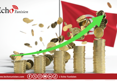 Placements de Tunisie SICAF distribue 3 200 dinars par action