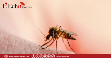 المختص في علم الفيروسات محجوب العوني يدعو إلى الوقاية من حمى غرب النيل