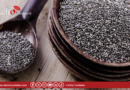 « Zgougou », un trésor nutritionnel du Mouled