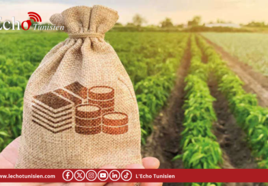 Investissements agricoles: une hausse de 15,9% dans le secteur