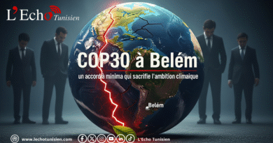 COP30 : un bilan mitigé peut-il suffire face à l’urgence climatique ?