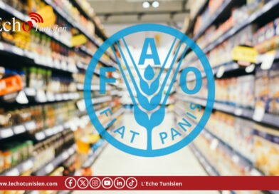FAO: les prix alimentaires mondiaux au plus haut depuis septembre 2025