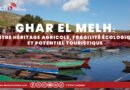 Ghar El Melh : entre héritage agricole, fragilité écologique et potentiel touristique (vidéo)