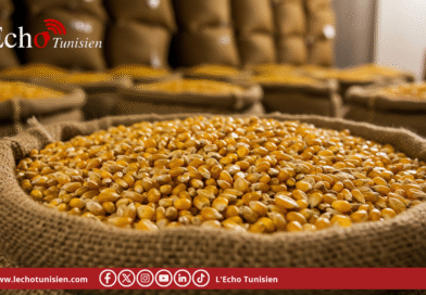 Céréales : 991 000 ha emblavés, un programme réalisé à 87 % malgré les aléas