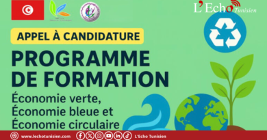 La Tunisie mise sur sa jeunesse avec 20 MD et 100 formations