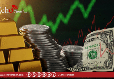 Transferts diaspora : +12,9 % en dollars, le bouclier du déficit courant