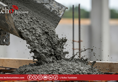 Carthage Cement : une dynamique commerciale en nette amélioration au deuxième trimestre