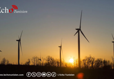 Énergie-El Fahs : un parc éolien de 75 MW subventionné par le Japon verra le jour