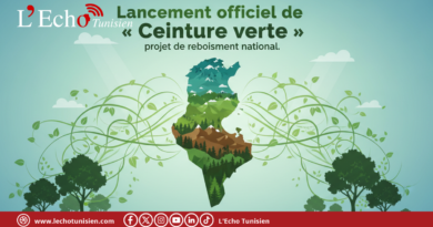 Lancement officiel de la « Ceinture verte », un vaste projet de reboisement national