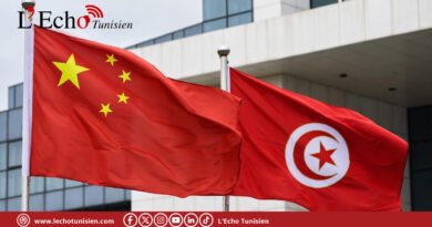 Tunisie-Chine : vers un jumelage culturel et artisanal entre Bizerte et Hebi