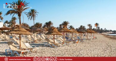 Erosion à Djerba : et si la solution venait de la nature ?