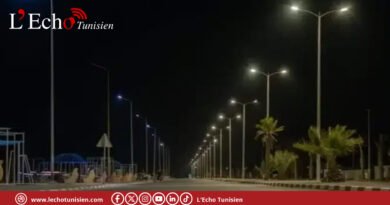 Djerba: des lampadaires LED éclairent la voie de la transition énergétique