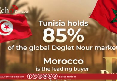 « Deglet Ennour » truste 85% du marché, le Maroc en tête des acheteurs