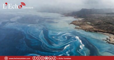 Cyclone Harry et pluies diluviennes : l’empreinte du réchauffement sur les déluges méditerranéens