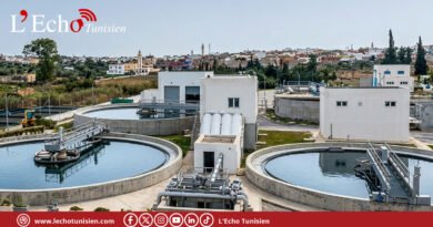 المنستير: مقاربة تقنية شاملة لتحديث الفلاحة وحماية الموارد المائية (فيديو)