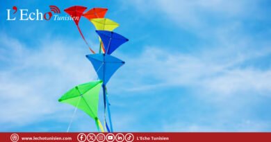 Tunisie: le festival « Cerfs-volants de la paix » rassemble 17 nations