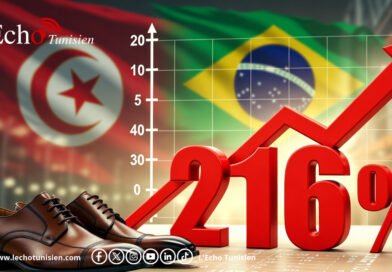 Le Brésil craque le cuir tunisien : +236 % de valeur à l’export
