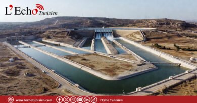 المنستير: مقاربة تقنية شاملة لتحديث الفلاحة وحماية الموارد المائية (فيديو)