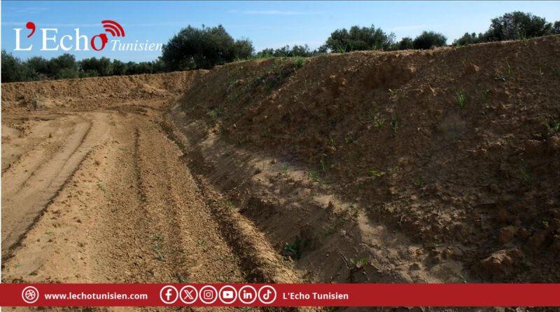 Monastir : l&rsquo;ingénierie hydraulique tunisienne au secours de la souveraineté alimentaire