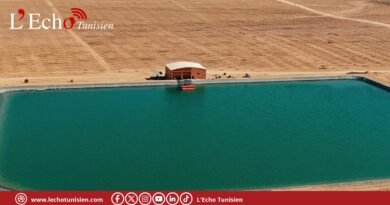 Oued El Guelta : 411 500 dinars pour un rempart contre la dégradation des sols