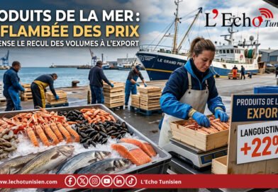 Excédent commercial en baisse pour les produits de la pêche à fin janvier 2026