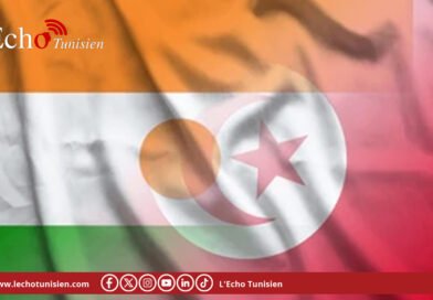 Niamey à Tunis : une délégation mixte public-privé pour bâtir un partenariat économique à valeur ajoutée
