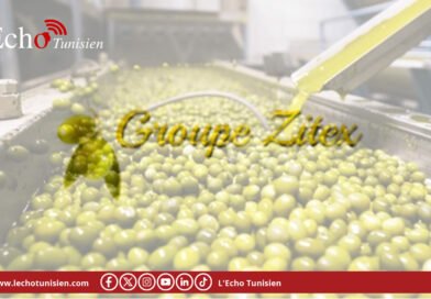 Actif en repli et perte nette de 1,06 MDT : SIOS-ZITEX traverse une passe difficile