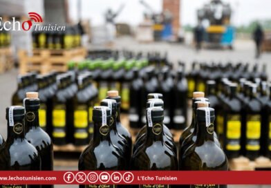 Exportations d&rsquo;huile d&rsquo;olive: la Tunisie dépasse pour la première fois les 50 000 tonnes mensuelles