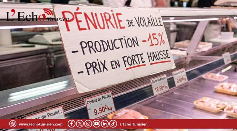 Pénurie de volaille : la production s&rsquo;effondre de 15 %, les prix s’emballent