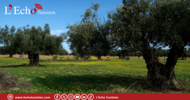 المنستير: مقاربة تقنية شاملة لتحديث الفلاحة وحماية الموارد المائية