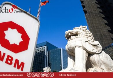 Tunisie : le cimentier chinois CNBM renforce sa présence industrielle