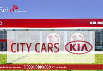 City Cars : le chiffre d’affaires progresse de 9 %, les placements s’effondrent de 56 %