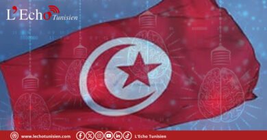 Innovation : la Tunisie intègre le top 5 africain du GII 2025