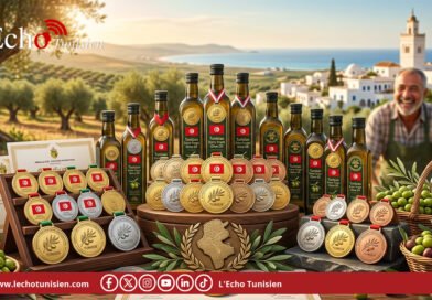 Huile d&rsquo;olive: comment les 60 médailles tunisiennes changent la donne à l’export ?