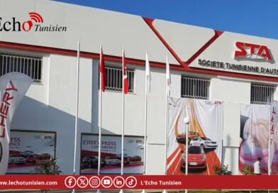 STA : bénéfice en hausse de 70,7 % en 2025, mais pas de dividendes sous la pression de la BCT