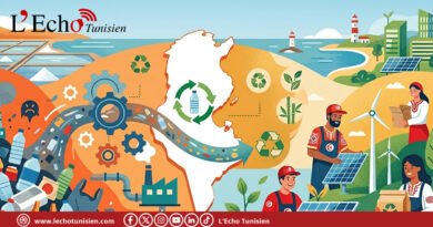 Plastique à usage unique : la Tunisie accélère sa transition vers des alternatives durables + (vidéo)