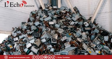 « Du plomb dans les cartes, de l’aluminium dans les disques durs » + (vidéo)