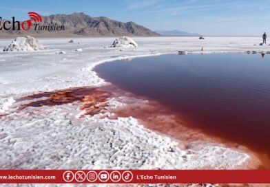 Gulf Care décroche un permis de recherche pour l’exploration du sel à Tozeur