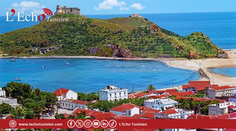 Tabarka : une mission chinoise pour promouvoir le tourisme durable