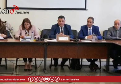 وزارة المالية: إصلاح منظومة الصرف يجب أن يوازن بين الانفتاح الاقتصادي و التوازنات المالية