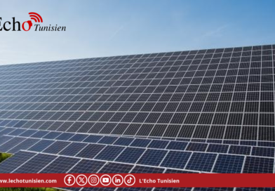 كاتب الدولة للانتقال الطاقي: تونس قادرة أن تصبح بلدا مُصدرا للطاقة