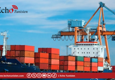 تونس – إفريقيا: 2،28 مليار دولار إمكانات تصدير غير مستغلة