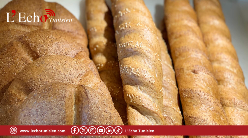 خبز النخالة في تونس.. غذاء صحي أم خيار اقتصادي مفروض؟