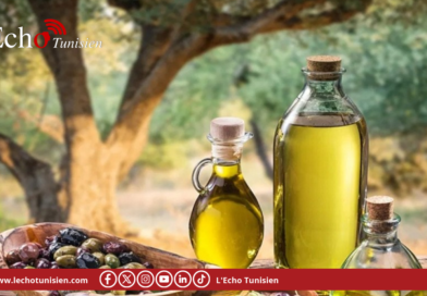 ارتفاع صادرات زيت الزيتون المعلّب بنسبة 69 %