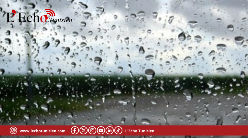 اليوم : ظهور خلايا رعدية مصحوبة بأمطار بهذه المناطق