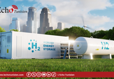 البنك الإفريقي للتنمية يطلق برنامجا لدعم إنتاج الهيدروجين الأخضر في إفريقيا